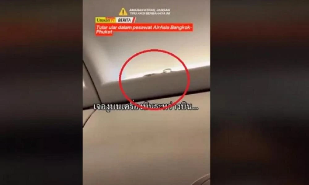Χάος σε πτήση: Φίδι εντοπίστηκε μέσα σε αεροσκάφος (βίντεο)